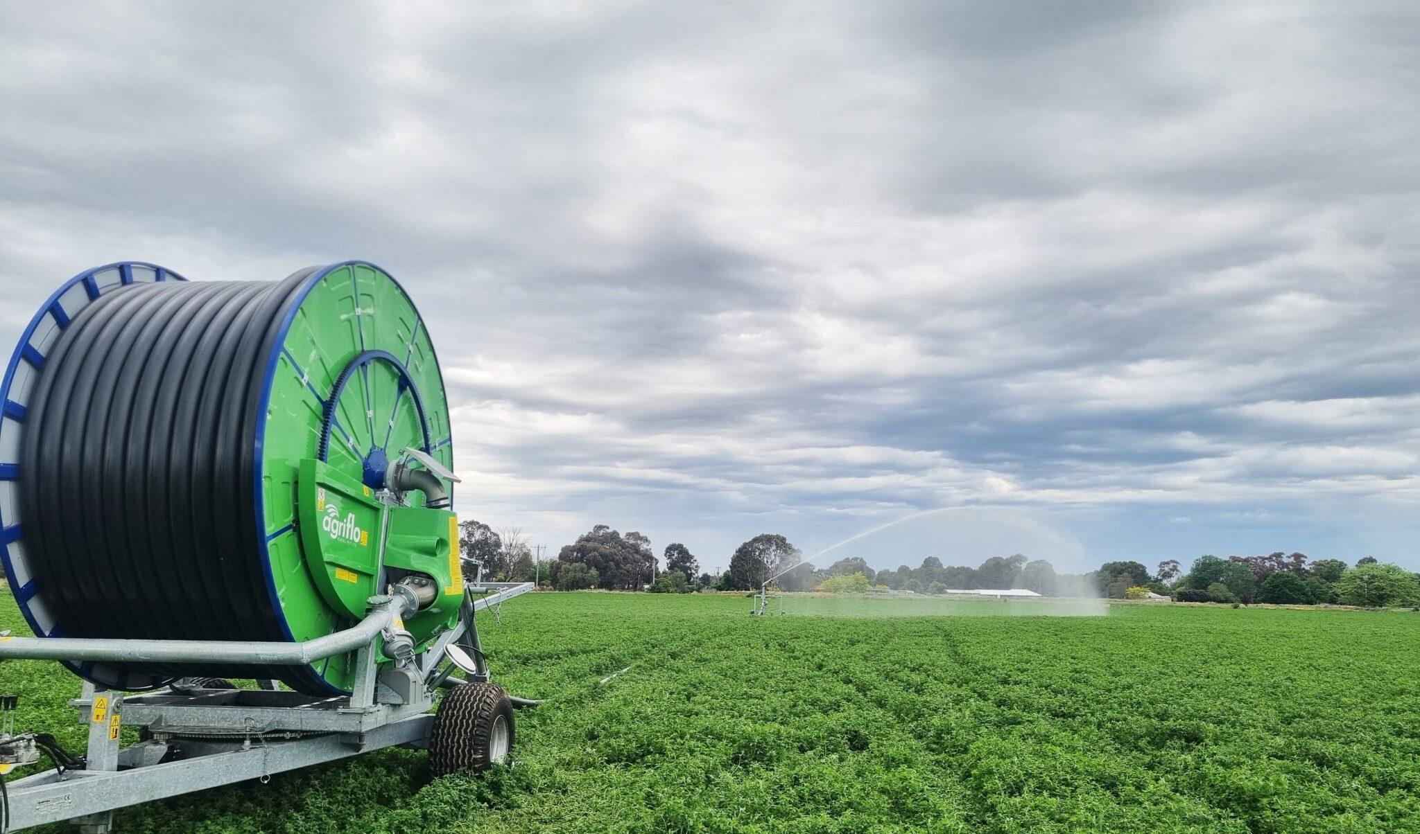 Hard hose reel irrigator operating in a paddock