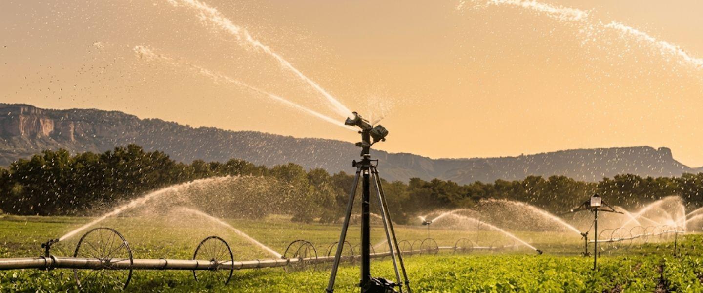 Sprinkler irrigation system operating across a field