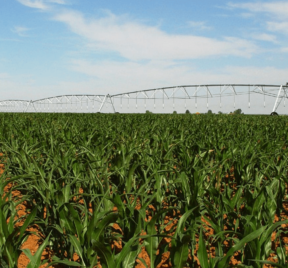 Aerial view of irrigated agricultural land