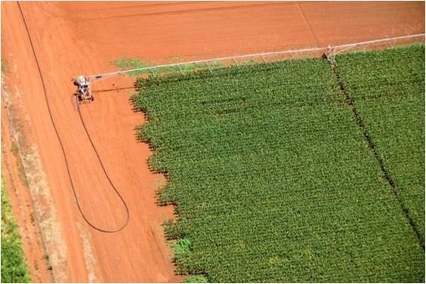 Irritech four wheel linear irrigation system
